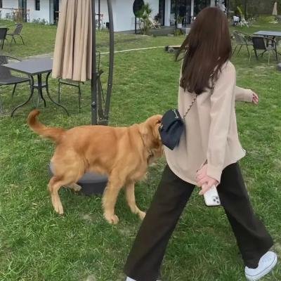 家村来信 在线观看