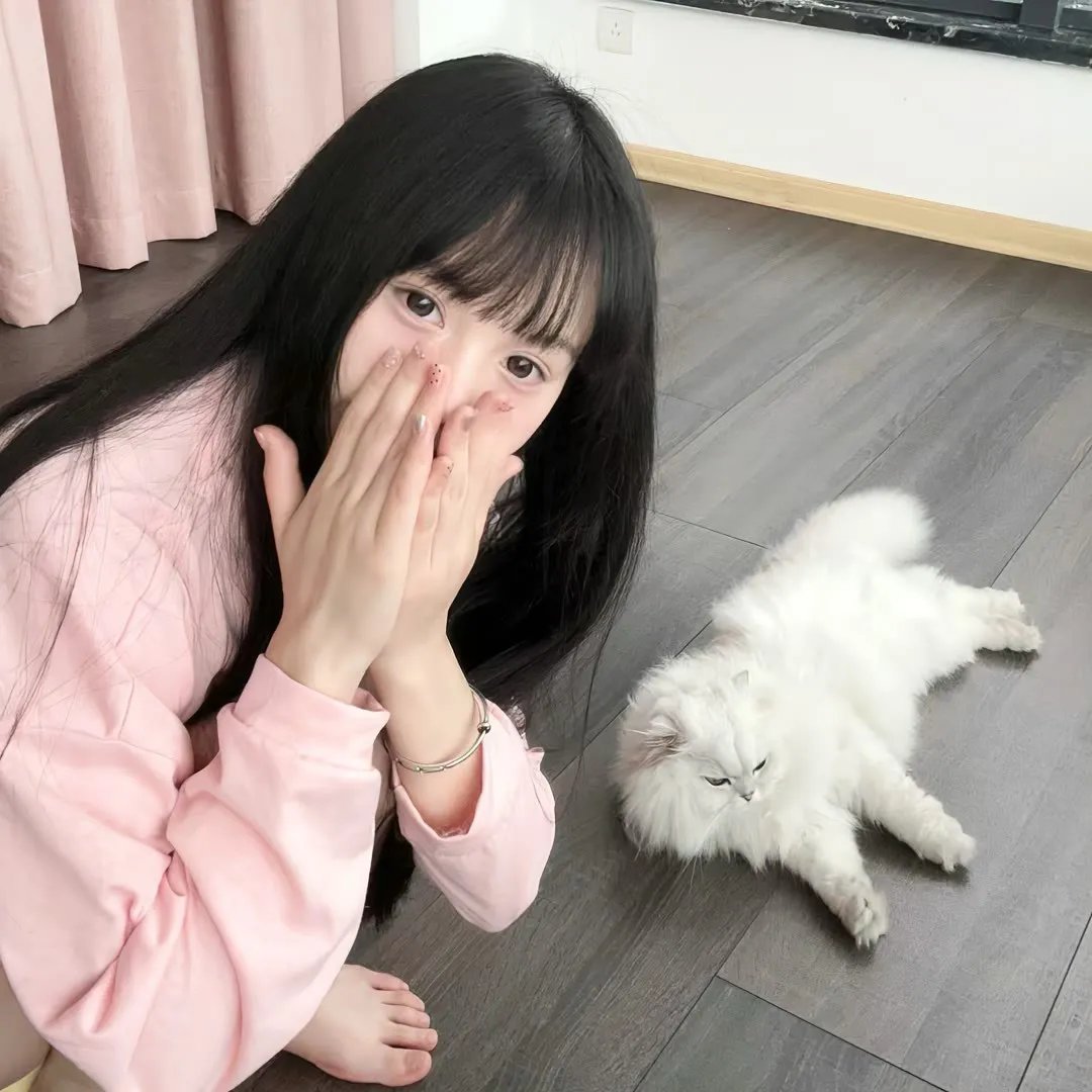 归来的瓦西里博尔特尼科夫